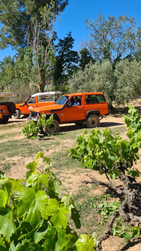 winery tour from barcelona