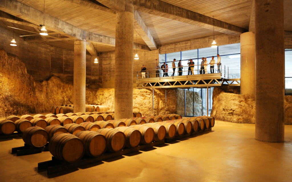 penedes vineyards