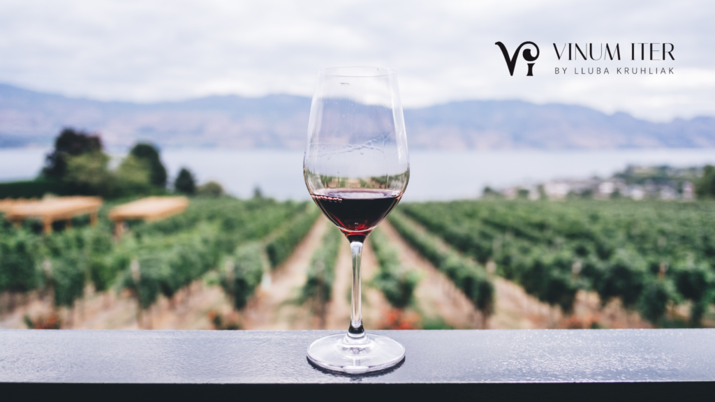 penedes vineyards