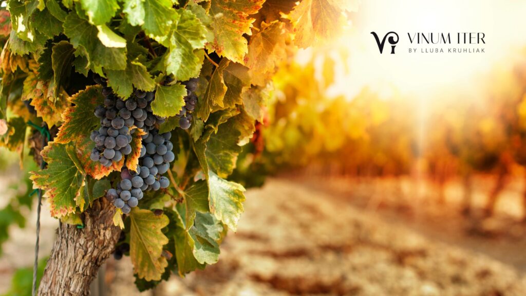 winery near barcelona