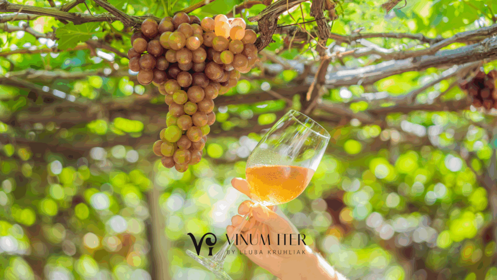 winery tour from Barcelona