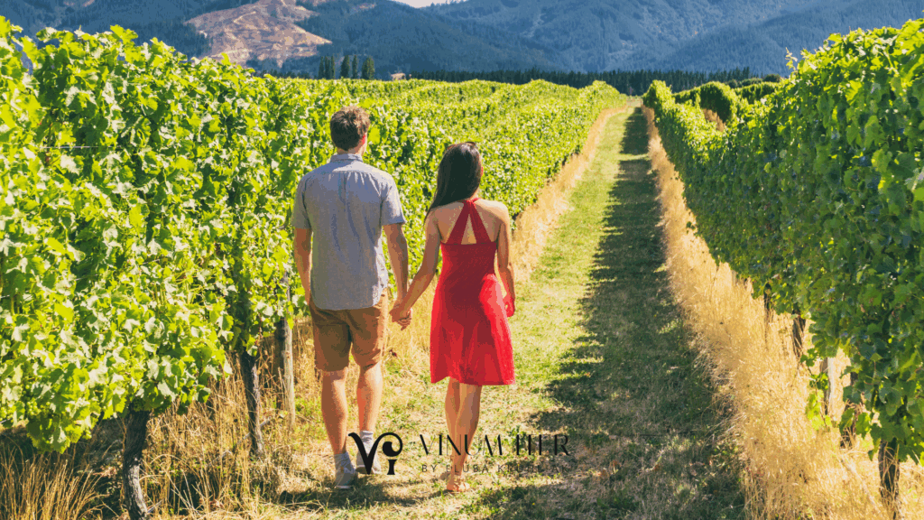Winery Tour from Barcelona