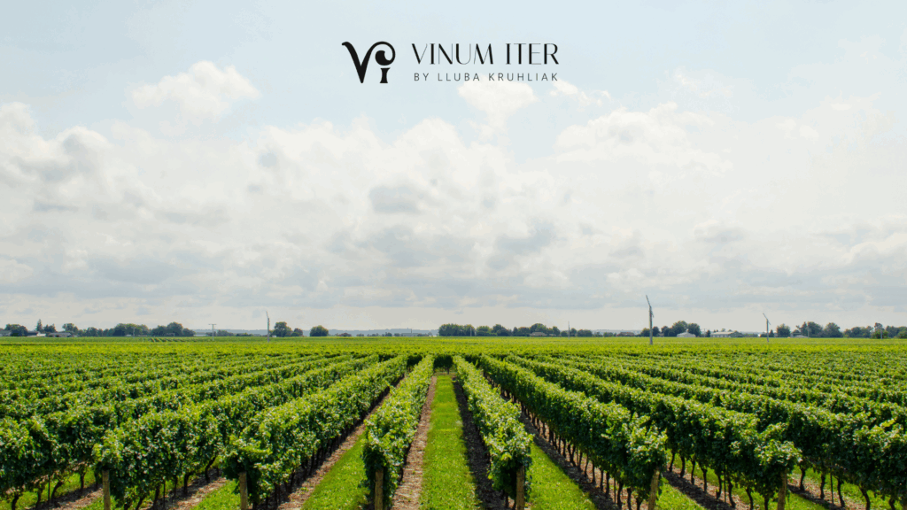 winery tour from Barcelona