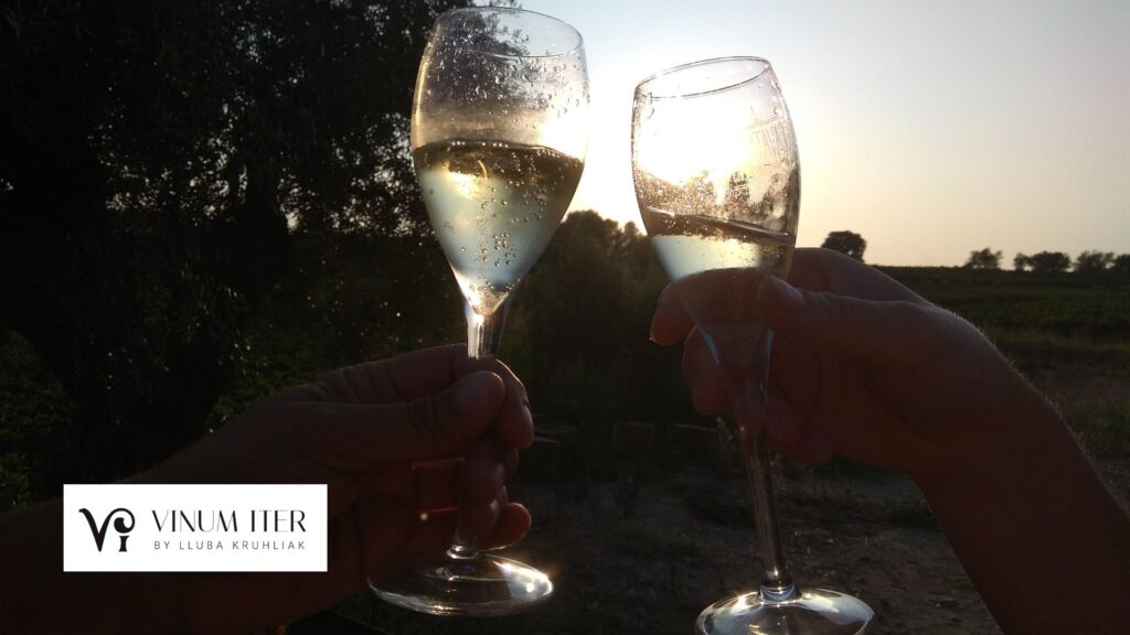 cava winery