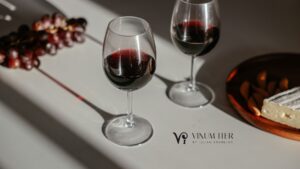 Premium Winery tour from Barcelona